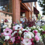 blooms